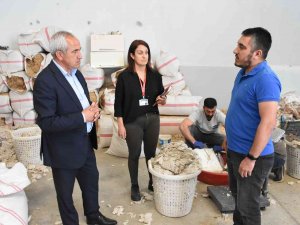 Mantar Yetiştirme Kursu, Tarsuslulara Yeni İş Kapısı Oldu