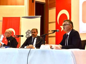 Zeytin Bahçeleri Devlet Denetiminde