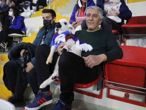 Final Maçını Kuzusuyla Birlikte İzledi