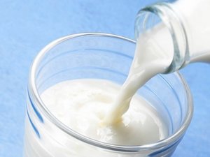 İ̇çme Sütü Üretimi Azalıyor