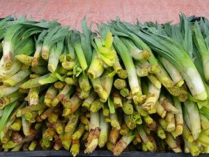 Şifa Kaynağı ’Çiriş’ Otu Tezgahlardaki Yerini Aldı