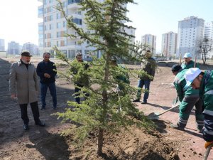 Kocasinan Ağaç Dikim Sezonunu Açtı