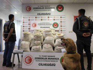 Cilvegözü’nde İki Tırda 2 Milyon 422 Bin Uyuşturucu Hap Ele Geçirildi