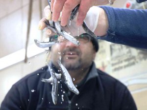 Karadeniz’de Balık Sezonu Yasaktan Önce Bitti