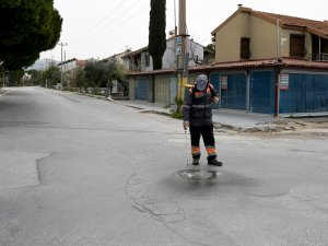 Kuşadası’nda Vektörel Mücadele Devam Ediyor