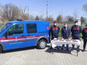 Fabrikadan 50 Bin Liralık Bakır Kaynak Diski Çalan Şüpheliyi Jandarma Yakaladı