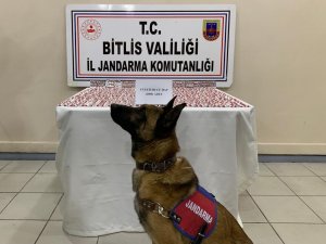 Bitlis’te 2 Bin 800 Adet Uyuşturucu Hap Ele Geçirildi
