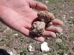 Baharda Yağmurun Az Olması En Çok Keme Avcılarını Üzdü