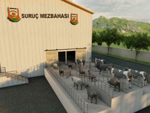 Şanlıurfa’nın Suruç İlçesine Modern Mezbaha Müjdesi