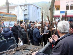 Selden Etkilenen Üreticilere Arı Kovanı Ve Ceviz Fidanı Dağıtıldı