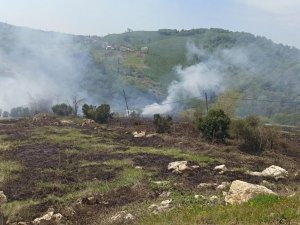 Sakarya’da Arazide Korkutan Yangın: Evlere Metreler Kala Söndürüldü