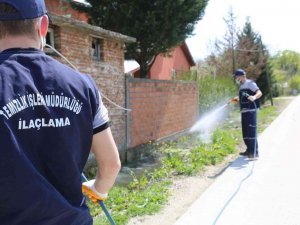 Serdivan Belediyesi İlaçlama Çalışmalarına Başladı