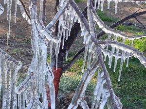 Fıskiyenin Açık Bırakılmasıyla Park Buzla Kaplandı