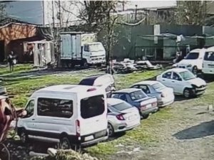Tavuk Kovalayan Köpeği Sopayla Dövdüler