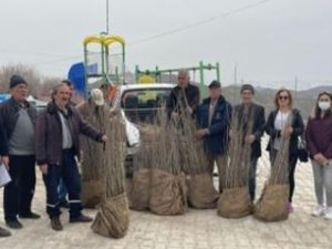 Tunceli’de 14 Çiftçiye Bedelsiz Dut Fidanı Dağıtıldı