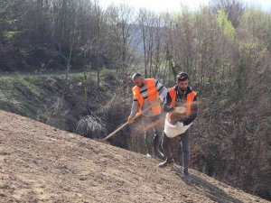 Düzce Katı Atık Tesisi Lavanta Kokacak