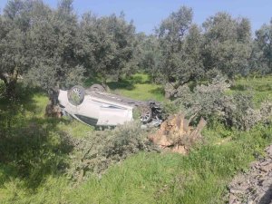 Otomobil Zeytinliğe Uçtu: 2 Yaralı