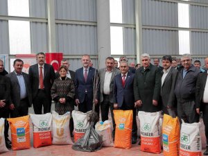 Çiftçilere Tohum, Fidan, Şeker Ve Gübre Desteği
