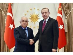 Erdoğan, Tbmm Başkanı Çiçek’i Kabul Etti