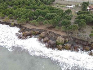 Hırçın Dalgalar 150 Metre Kumsalı Yuttu, Evler Tehdit Altında