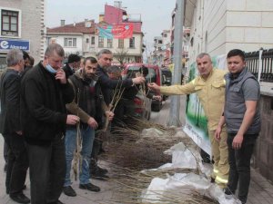 İ̇nebolu’da Vatandaşlara Ücretsiz Meyve Fidanı Dağıtıldı