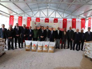 Amasya Valiliği’nden Soya Üretimine Destek: Çiftçilere 17 Bin Kilo Soya Tohumu Dağıtıldı