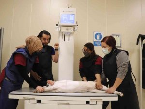 4 Binin Üzerinde Hasta Hayvan Şifa Buldu