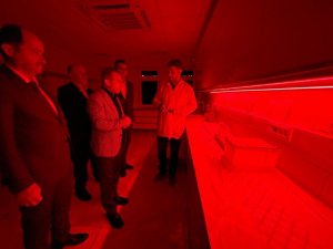 Seraların Doğal İşçisi Bombus Arısı, Ordu’da Üretiliyor