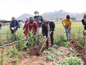 Vali Balcı Tarla Sürüp, Çapa Yaptı
