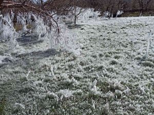 Kayısı Bahçelerindeki Donun Boyutu Kameralara Yansıdı
