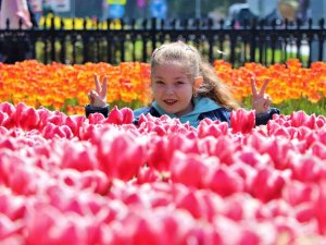 Samsun’da Lale Zamanı Bu Sene Geç Başladı