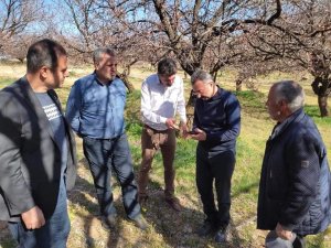 Elazığ’da Zirai Don Nedeniyle Hasar Tespit Çalışmaları Başladı
