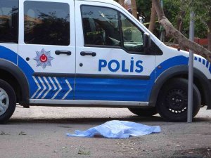 Kardeşleri İle Çöp Atmaya Gitti, Oyun Oynadığı Kamyonun Altında Can Verdi