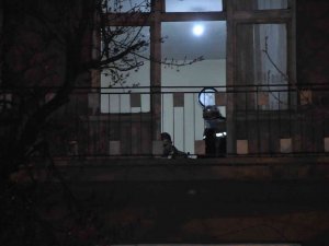 Yaşlı Kadın Torunu Tarafından Odasında Ölü Bulundu