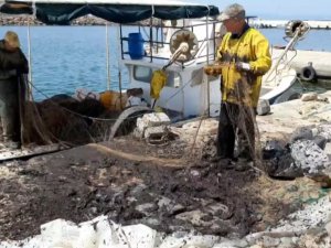 Saros Körfezi’nde Balıkçıları Tedirgin Eden Görüntü