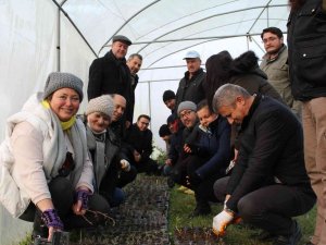Tıbbi Aromatik Bitki Yetiştiriciliğine Yoğun İlgi