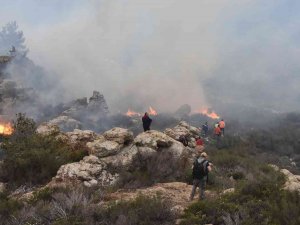 Bodrum’daki Orman Yangını 6 Saat Sonunda Kontrol Altına Alındı