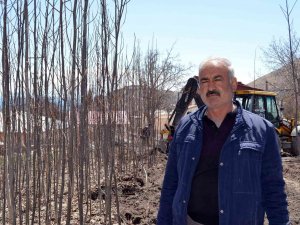 Adilcevaz Ekonomisine Ceviz Fidanı Katkısı