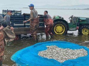 İ̇znik Gölü’nde Gümüş Balığı Sezonu Açıldı
