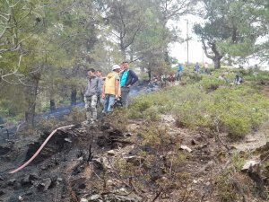 Mersin’de Orman Yangını Büyümeden Söndürüldü