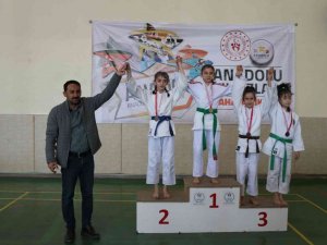 Anali̇g Judo Yarı Final Müsabakaları Erzincan’da Yapıldı