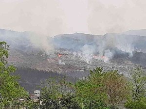 Hatay’da Orman Yangını İki Noktada Devam Ediyor