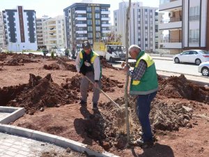 Karaköprü’de Yeni Parklar Ağaçlarla Yeşilleniyor