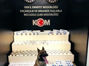 Van’da Gümrük Kaçakçılığı Operasyonu