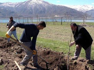 Tatvan’da Meyve Fidanları Toprakla Buluştu