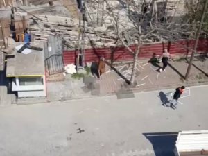 Yaşlı Kadın Eline Demir Sopa Aldı, Hırsızları Kovaladı