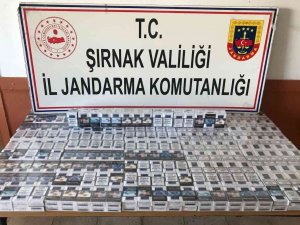 Şırnak’ta Kaçakçılık Ve Asayiş Operasyonu: 72 Gözaltı