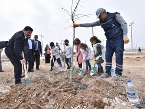 Karatay Belediyesinden Ağaç Dikme Etkinliği