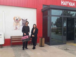 Doğum Yapmakta Zorlanan Kediye Sezaryen Yapılıp Sahiplendirildi