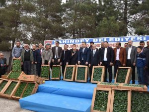 Çiftçilere Milyonlarca Fide Dağıtıldı